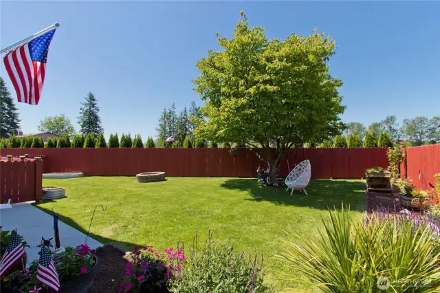 Fully fenced backyard