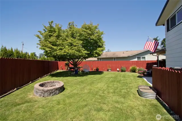 Large side yard is perfect for summer outdoor activities.
