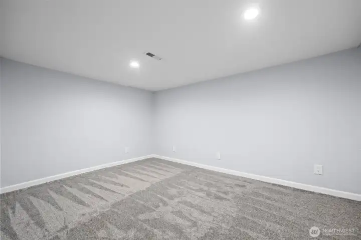 Bonus room downstairs