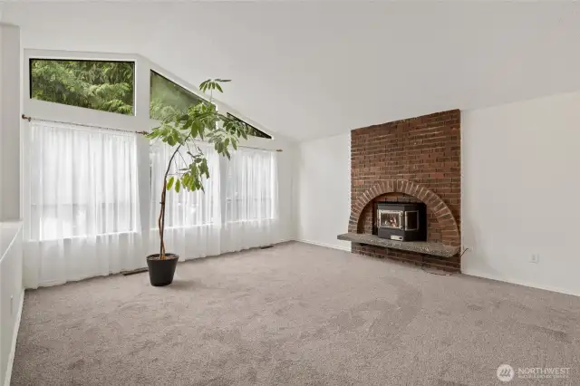 wood burning fireplace for the cold nw winters