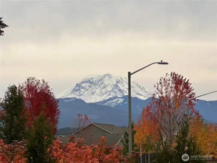 View from rear patio