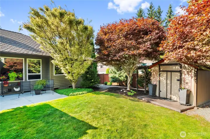 This backyard meets every want and need!