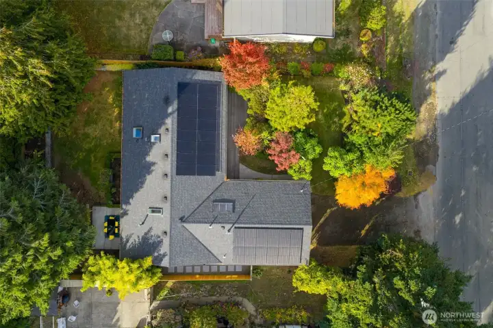 Smart updates include a new roof with solar panels, A/C and heat pump, tankless water heater, and energy-efficient windows. The established mature landscaping was designed by a Master Gardener. There is a soaker irrigation system set up that is controlled by an APP for ease. There are extensive plantings for year-round color and foliage that are marked and labeled.