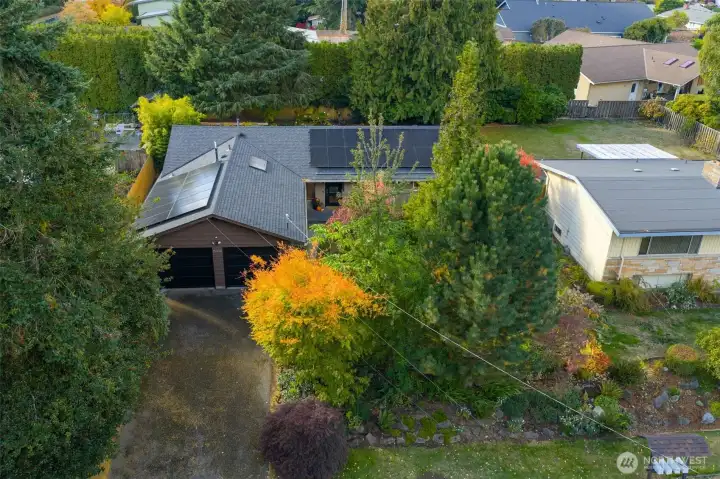 Ray Anderson designed and built this classic Shoreline Rambler.  He was known for his quality building throughout the area. Sophisticated mid-century design meets effortless one-level living in Shoreline’s Hillwood neighborhood. This is modern Northwest living with curated style and room to grow.