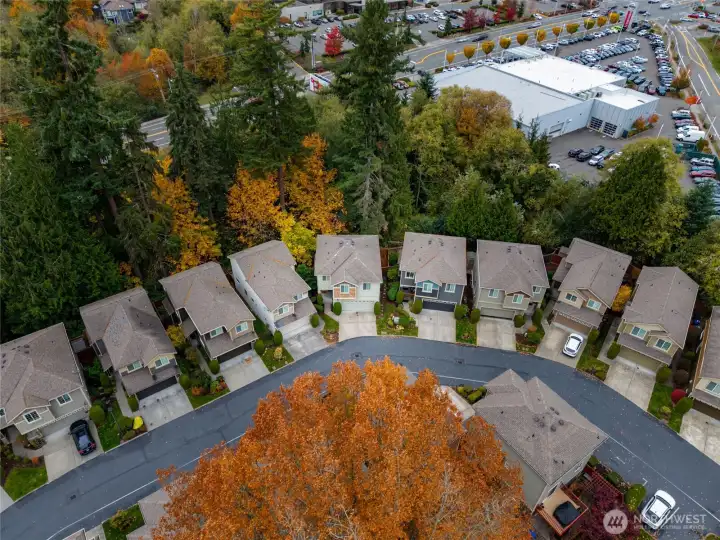 Neighborhood green space and off-leash dog park within the gated community