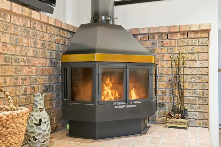 Main lvl - Fireplace (wood burning)