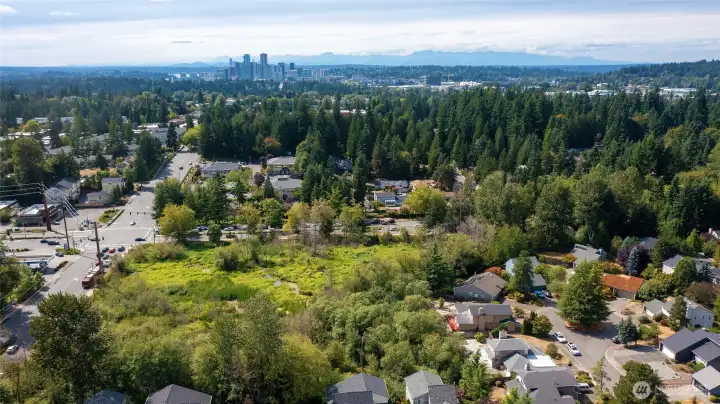 summer view looking over Fox Glen, Kelsey greenbelt toward bellevue skyline minutes away to the west