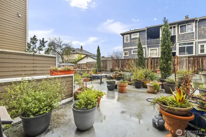 Imagine relaxing here or BBQing with friends and neighbors surrounded by waves of color!