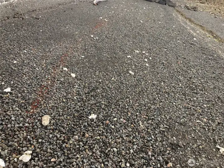 Nice gravel beach for swimming
