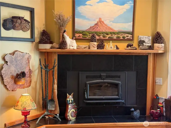 Wood stove insert keeps you warm in the winter months.