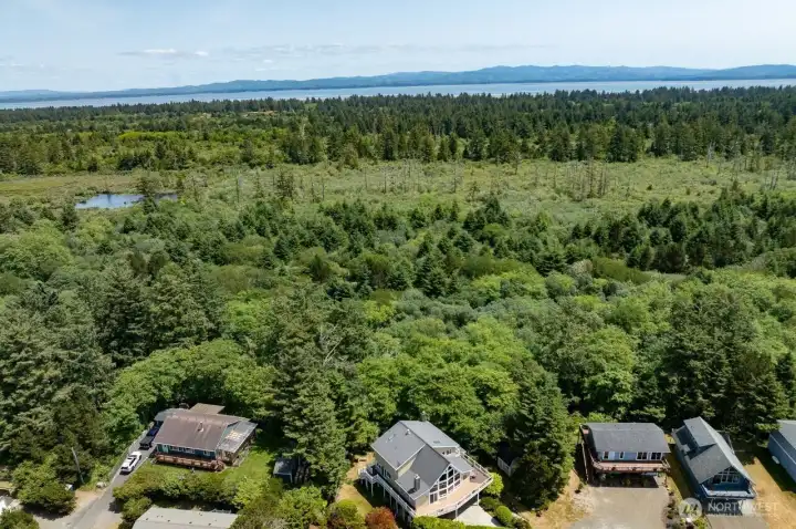 All of this, ocean view from most windows, forest view and close to beautiful Willapa Bay. A place for oyster and clam treats. All of this, ocean view from most windows, forest view and close to beautiful Willapa Bay. A place for oyster and clam treats.