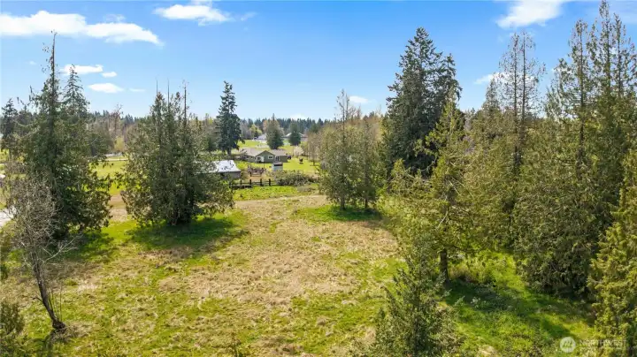 Natural landscape with mature trees and open clearing, creating a balance of privacy and usable land.