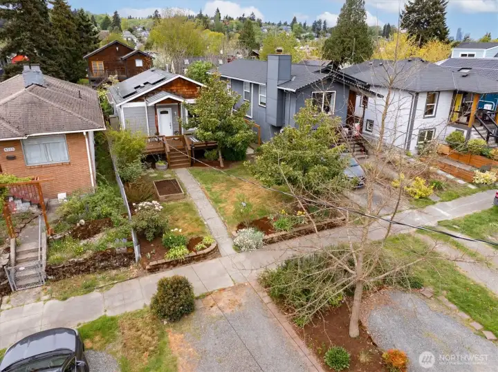 Front Yard Drone