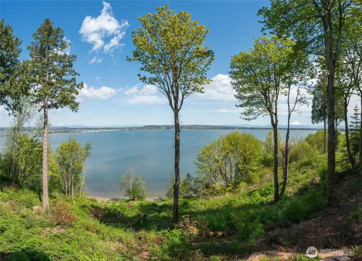 A dream setting for your new home