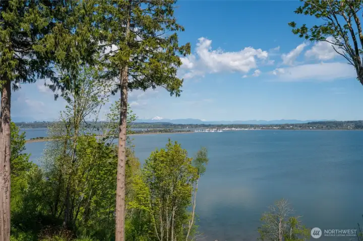 Semiahmoo spit & marina