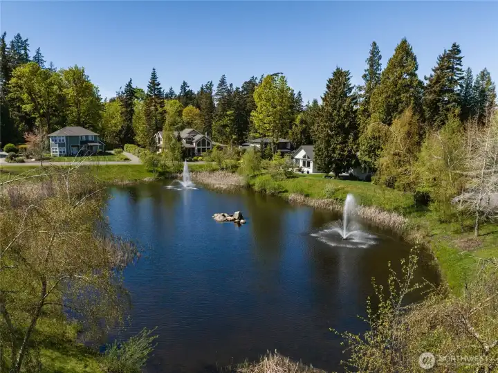 Enjoy the tranquility of the pond across the street