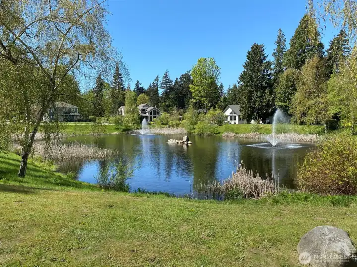 Bald eagles & migrating waterfowl frequent the pond