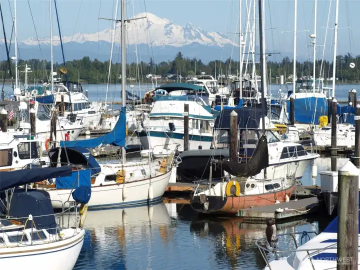 The 300-slip marina offers slips for purchase or lease