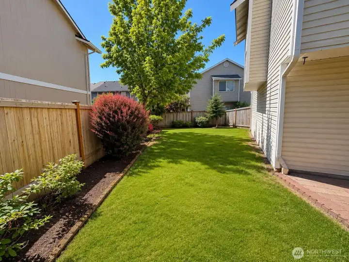 Side Yard