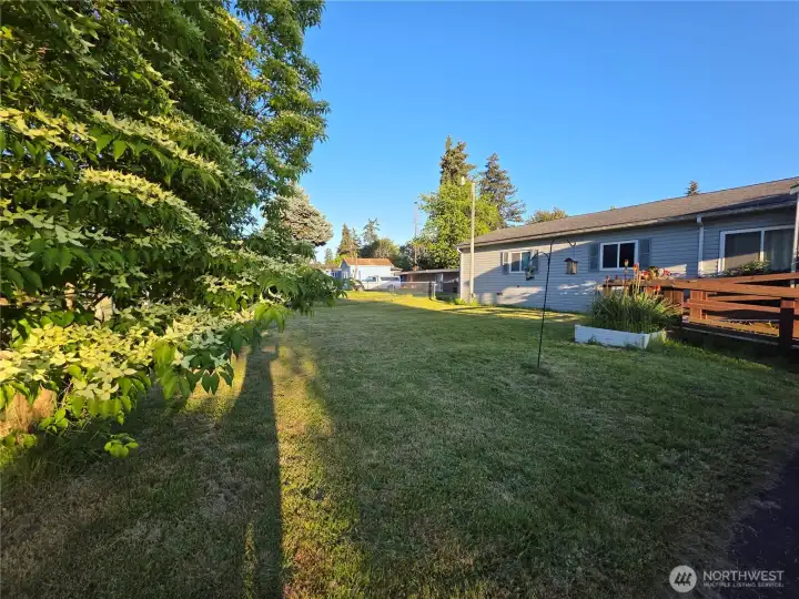 Front Yard