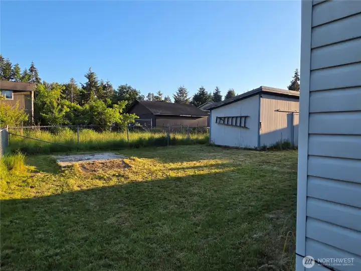 Left side/back yard