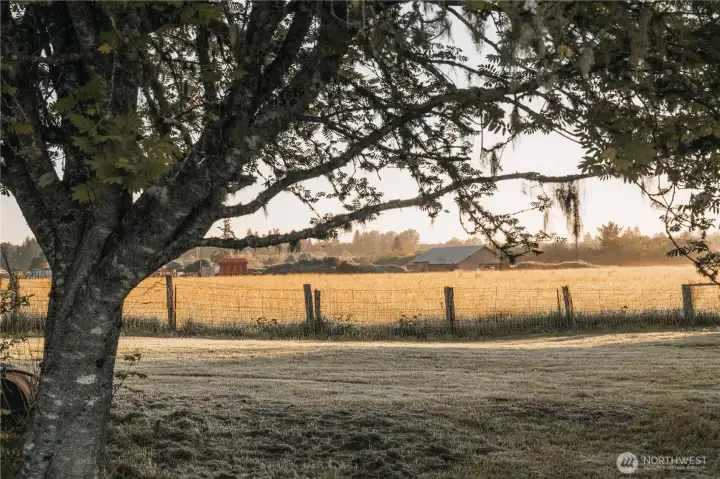 75 acres of pasture
