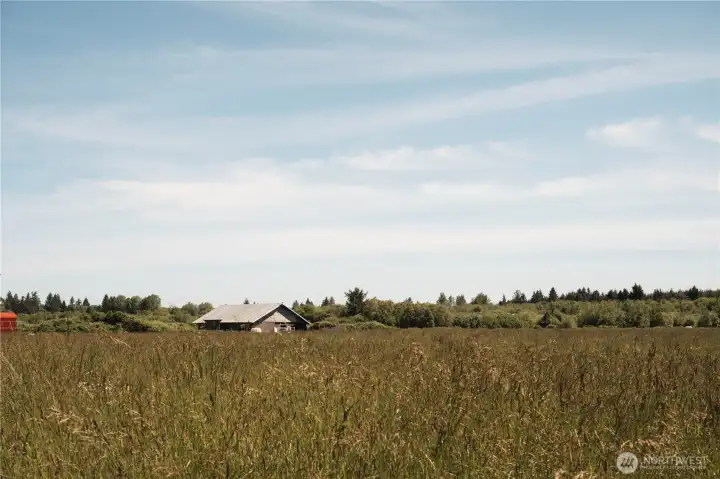 Pasture