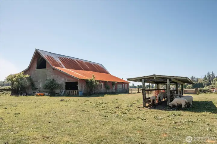 Hay barn and animal feeding