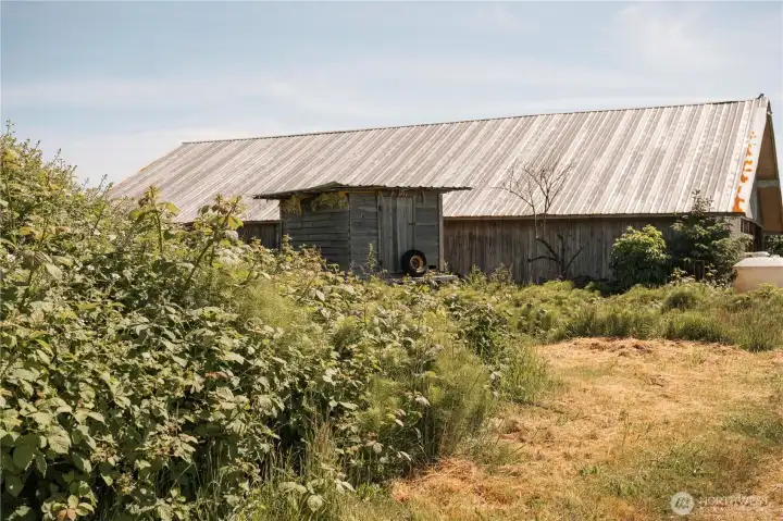 Chicken tractor and brooder barn