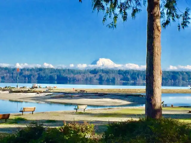 Mt Rainier over the spit/Case Inlet from North Beach