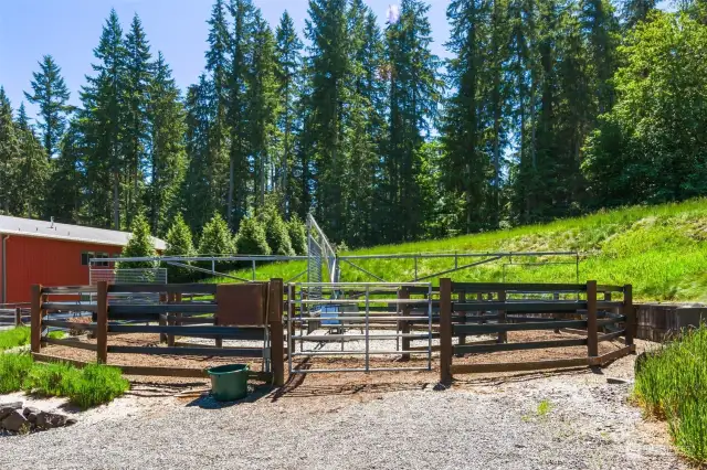 4 horse Odyssey Eurosizer with Centar fencing.
