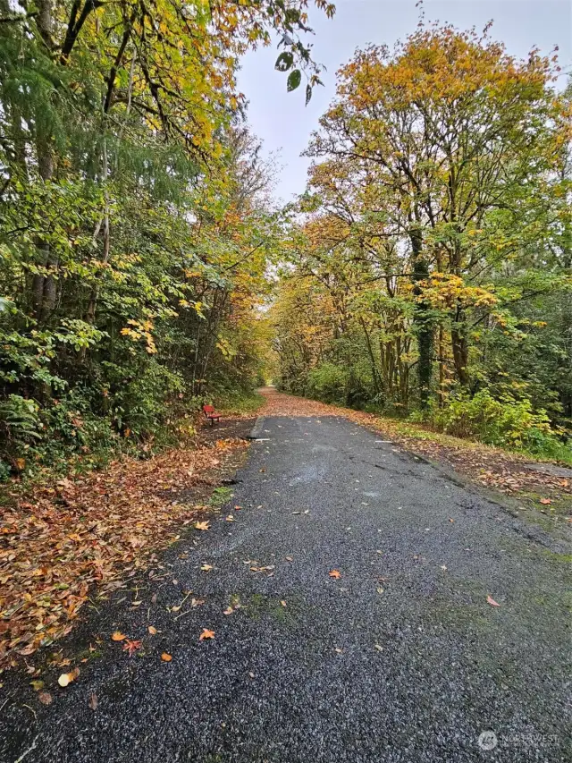 Dead end of Pacific leads to a beautiful walking trail.