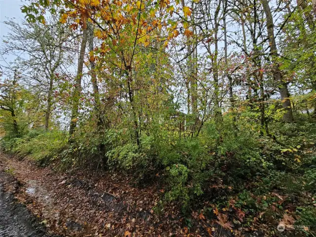 Property to the right, standing on Pacific Rd.