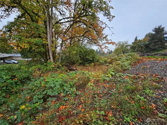 State Rt 505 to the right of driveway, Pacific Rd to the left.