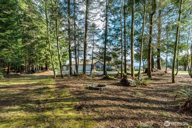 Magical forests in, next to around this special parcel. Vantage from NW boundary line, adjacent to the 454 acres of natural Camano Ridge Preserve Forest (loaded with 2nd and 3rd generation Douglas Fir and Western Red Cedars. Enjoy the diversity and seclusion of this unique parcel with it's very own trail into the Preserves.