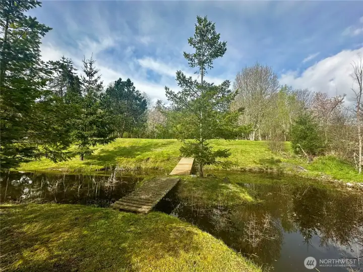 Walkway to back property