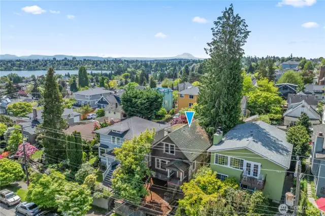 The property is located in desirable Phinney Ridge, surrounded by well appointed homes.