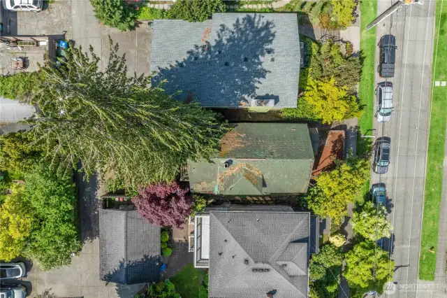 This bird's eye view shows the size of the lot (3,000 sq ft) and its layout.