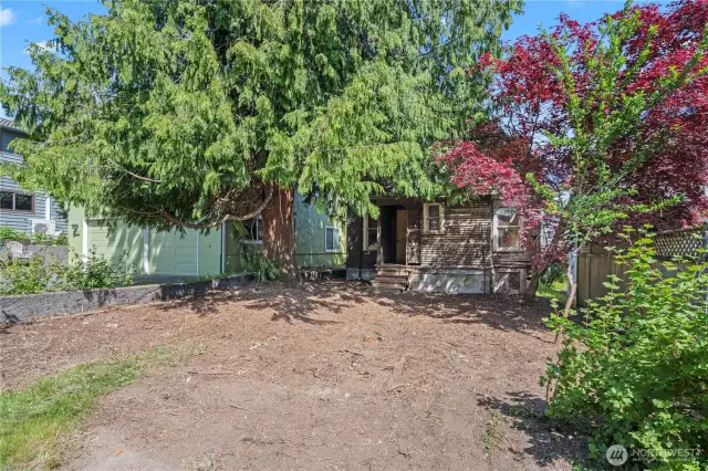 The backyard is open and level, with the opportunity to build a garage or to expand the footprint of the home.