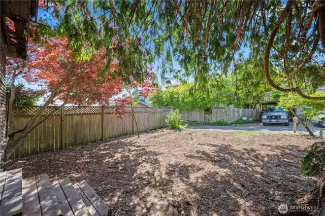 The backyard looks to the south.