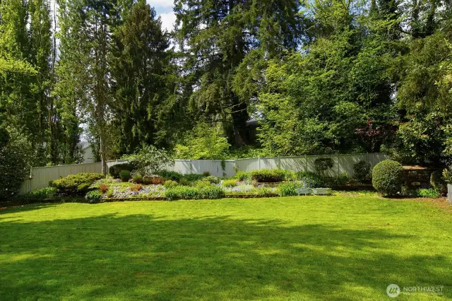 Fully fenced back yard