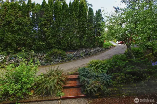 Driveway and walkway to home