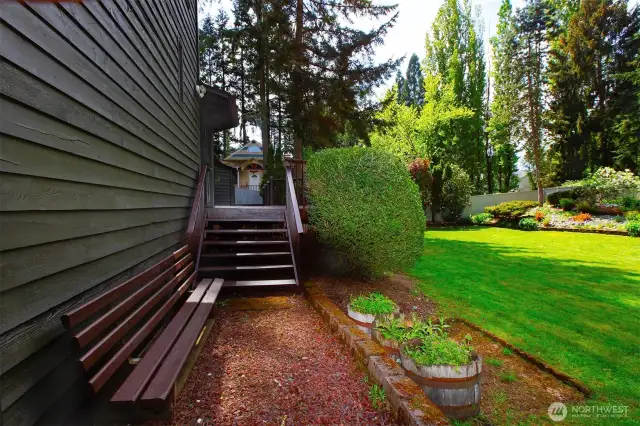 Backyard