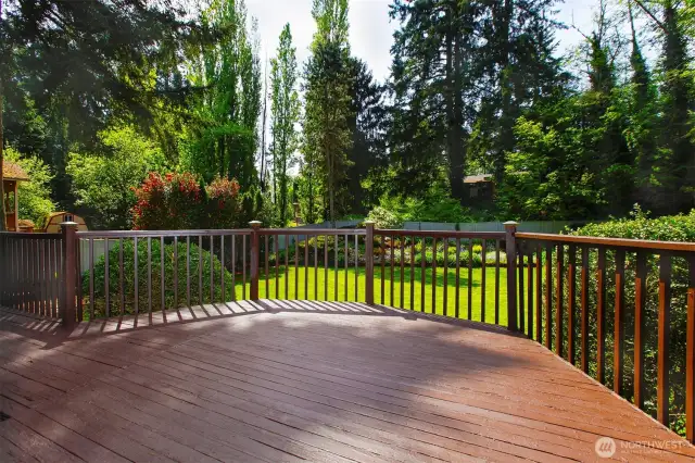Gorgeous back yard and large deck
