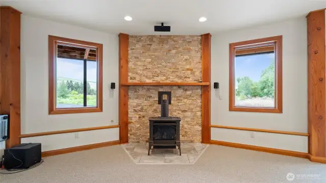 Lower level new fireplace