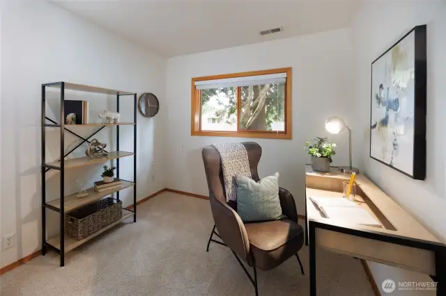 Lower Level Office/Bedroom