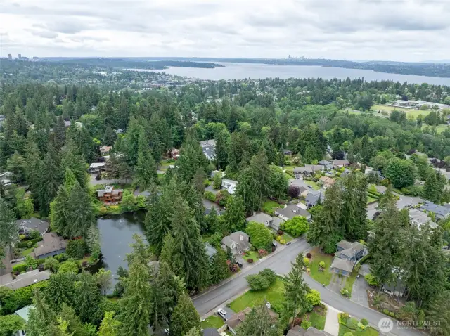 Close to Everything Downtown Kirkland has to Offer!