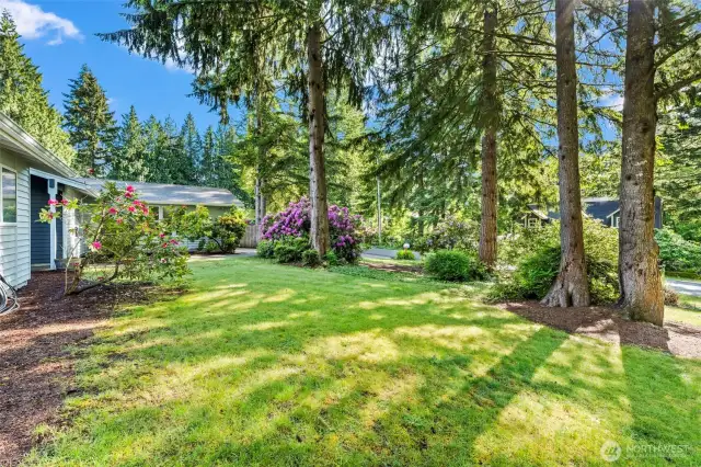 The front yard is spacious and sunny with a West facing exposure.