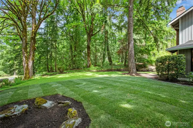 Listen to the resident Eagle in the treetops, gaze at the views. and relax in the peaceful setting!