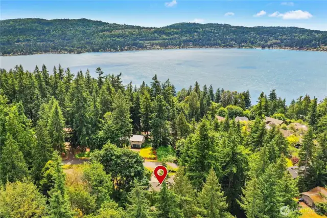 Lake Sammamish views and easy access to East Lake Sammamish trail that is an 11 mile trail between Issaquah and Redmond along the eastern shores of the lake!